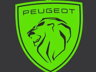 Porta Chaves do peugeot