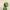 귀여운 카멜레온 병따개 열쇠고리 – 동물 3D 프린트