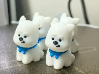 小白狗