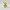 Trauriger Pikachu Clicker-Fidget
