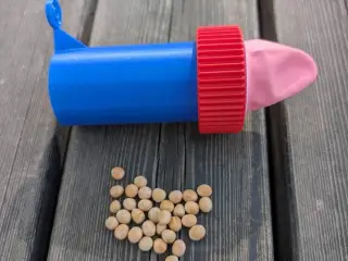 Pea Baloon Bazooka