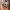 Moonwhisker Chinchilla Companion – Noah0x03