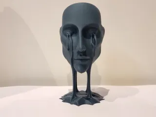 The face