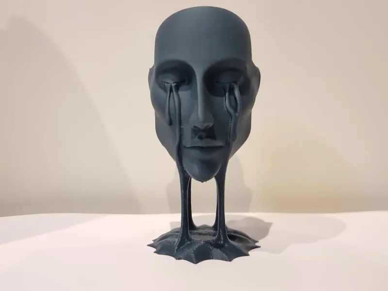 Il volto