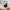 KOYA Daunenjacken BT21 (NOAMS) - BTS