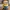 Klassieke Schattige Minion - Despicable Me Cartoonfiguur 3D-print