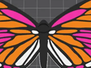 Monarch Butteryfly