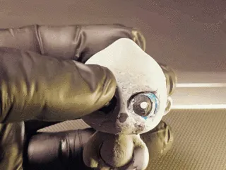 gorilita
