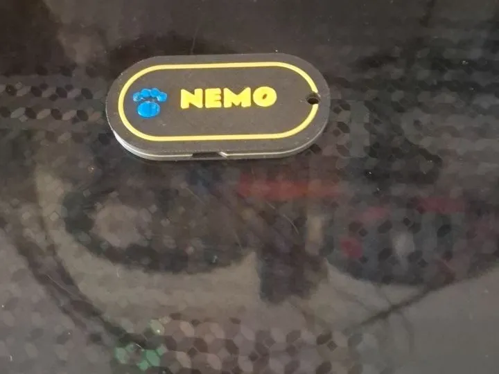 silvato nemo