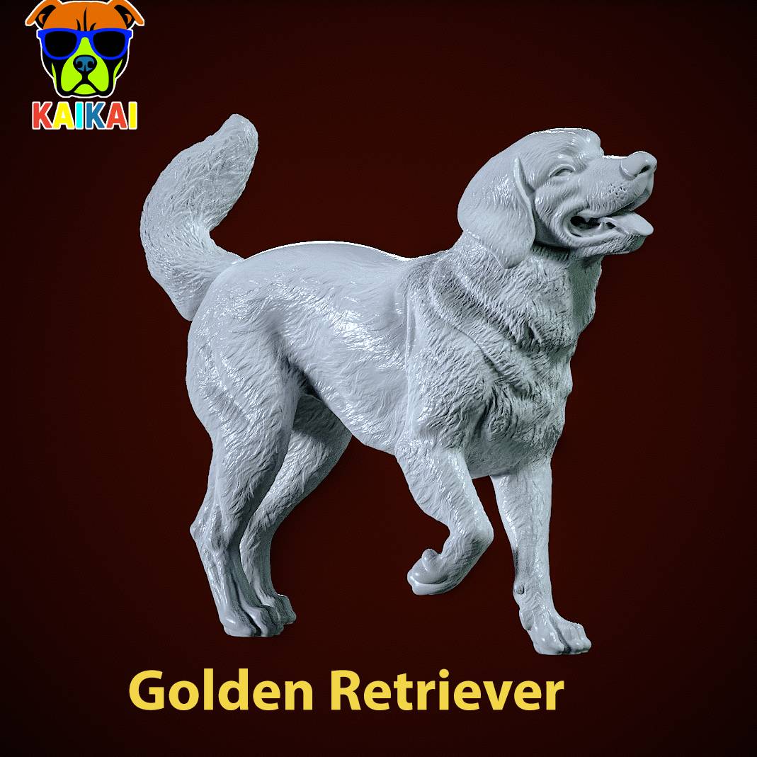 Golden Retriever Dog Positions Urban vibes