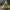 Son Goku Super Saiyan – Legendary Power Awakens