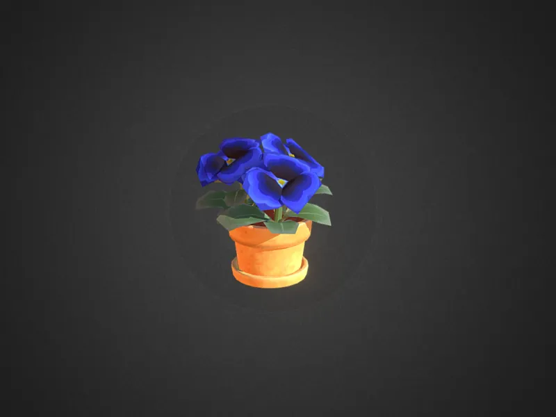 Winter Flowers