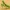 Low poly praying mantis