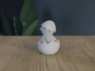 Hatched Chicken