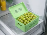 FRIDGE FRUIT BASKET-0