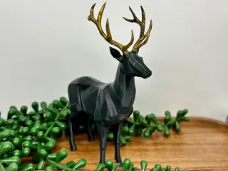 deer