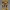 G1 Bumblebee Classic Scout - Premium Collectible Model
