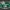 Magnet US Sassuolo