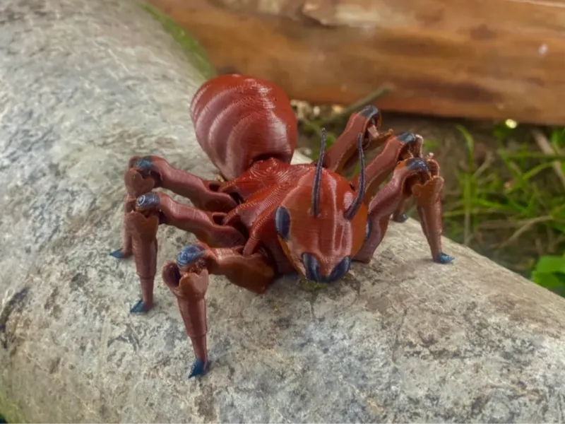 Hormiga Articulada Flexi / Flexi Articulated Ant