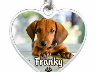Dogtag Bone