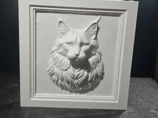 Maine Coon