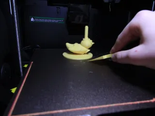 print bed scraper