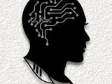 female brain circuit 1 WALL ART HOME DECOR-0