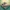 Miniature terrain BasePI8