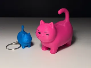 Cute Cat