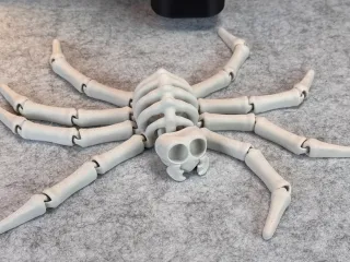Flexi Skeleton Spider V1