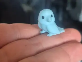 Mini péroquet cute