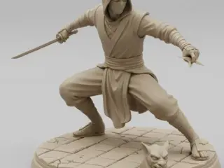 Assassino Silencioso ou Ninja (Cìkè 刺客)