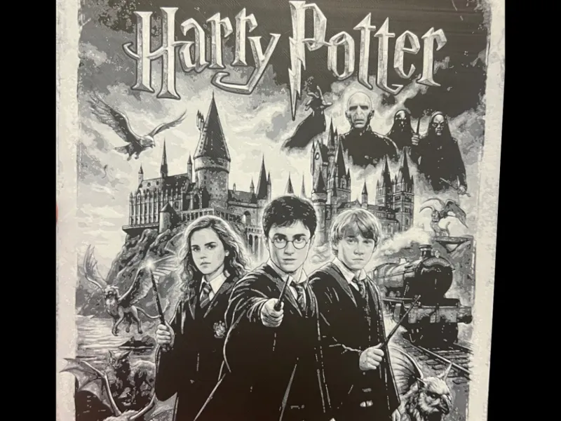 Harry Potter BW poster Hueforge 200x200