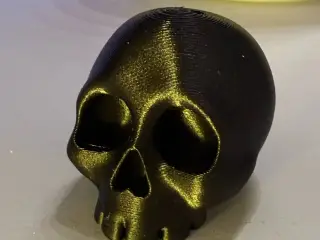 Cute skull