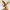 File STL Aquila | Stampa 3D Aquila in Volo | Statua Aquila STL |