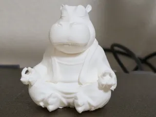 hippo budha