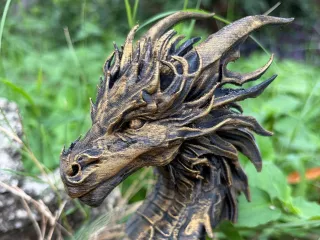 Dragon Bust
