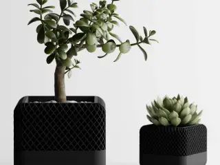Modern Square Apple Home Pod Style Plant Pot Vases