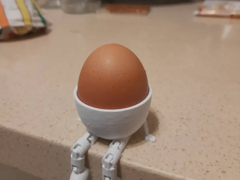 articulated egg case