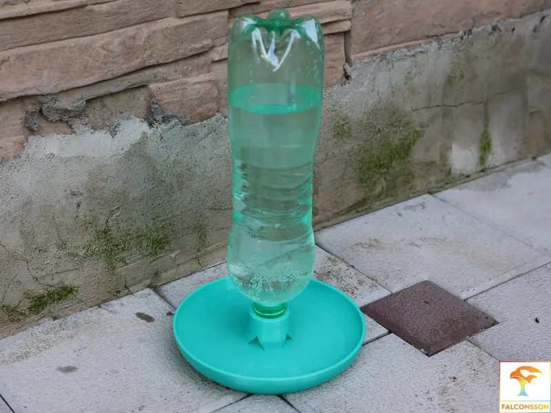 Ciotola d'acqua per pulcini