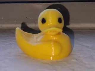 Cute Ducky Flexi