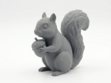 Squirrel-0