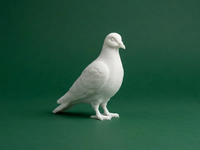 Modelo 3D de Pombo