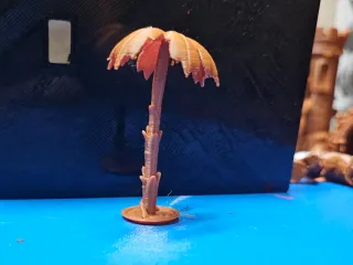 palm tree