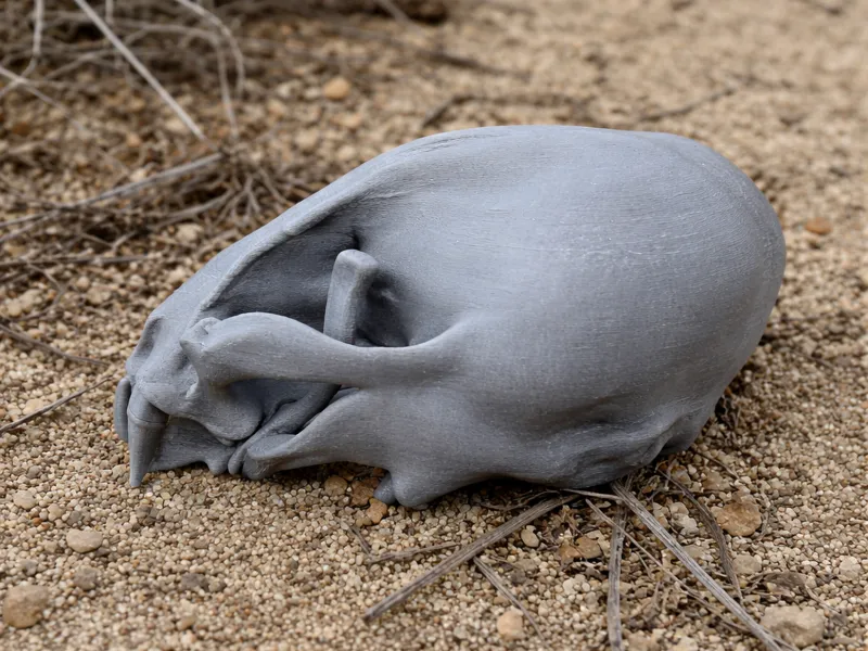 Otter (European) Skull
