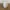 Wooden Barrel - Western Decorative Model