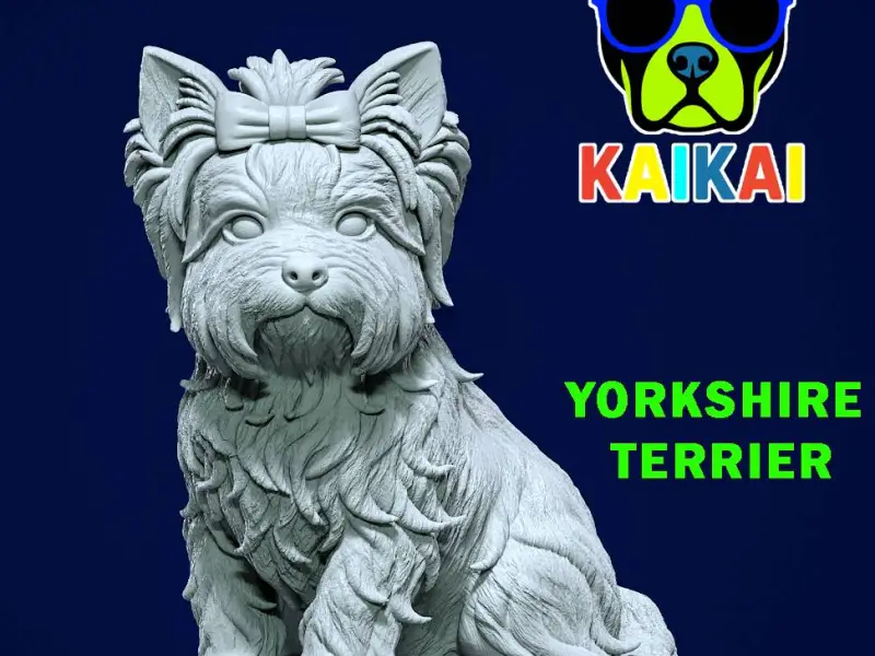 Dog Yorkshire Terrier - Yorkshire model - 3D print