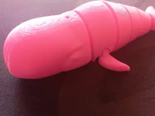 ARTICULATED WHALE