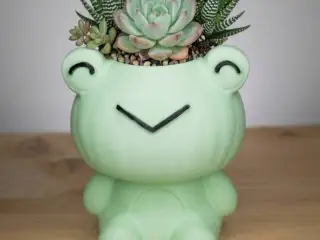 Simpatico Portapenne "Froggy"