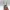 Sinal dos Chifres